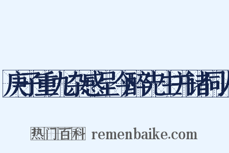 庚子重九杂感呈今醉先生并诸同人是什么意思的图片